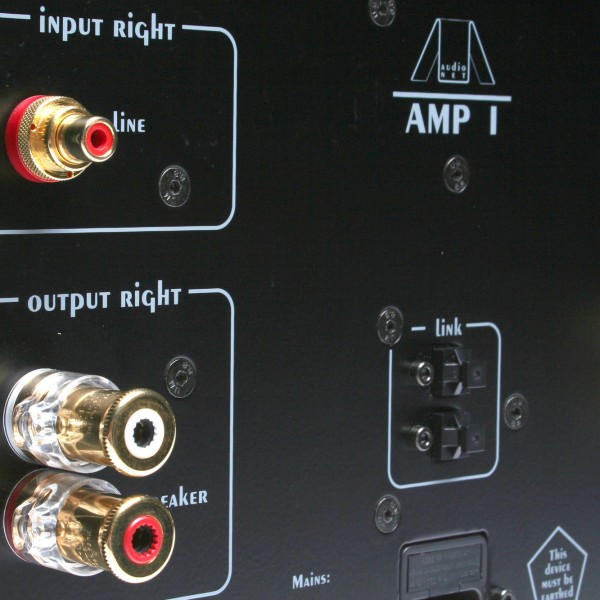 amp1v2-detal