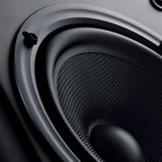 swans_m6-ht